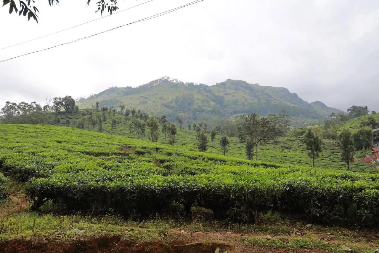 Homestay Peace Valley Home Stay Munnar India